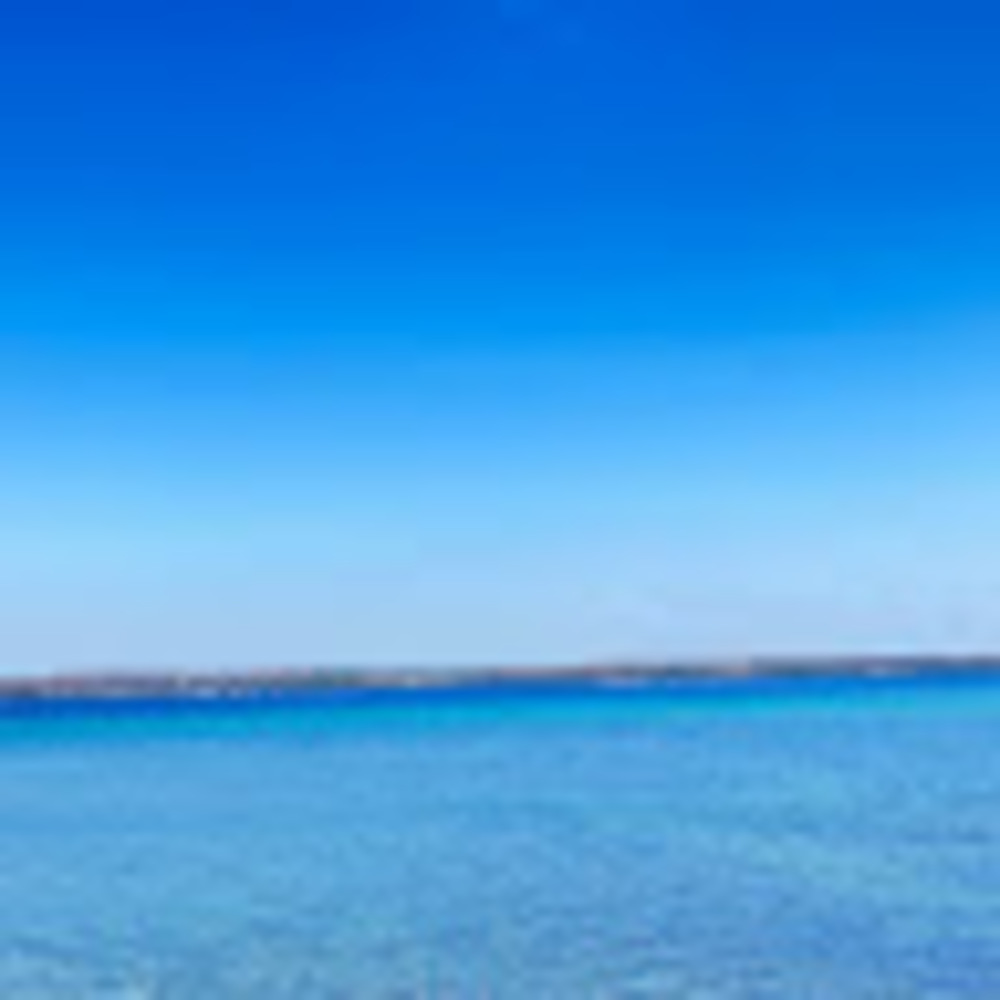 Meet your Posher, 2024